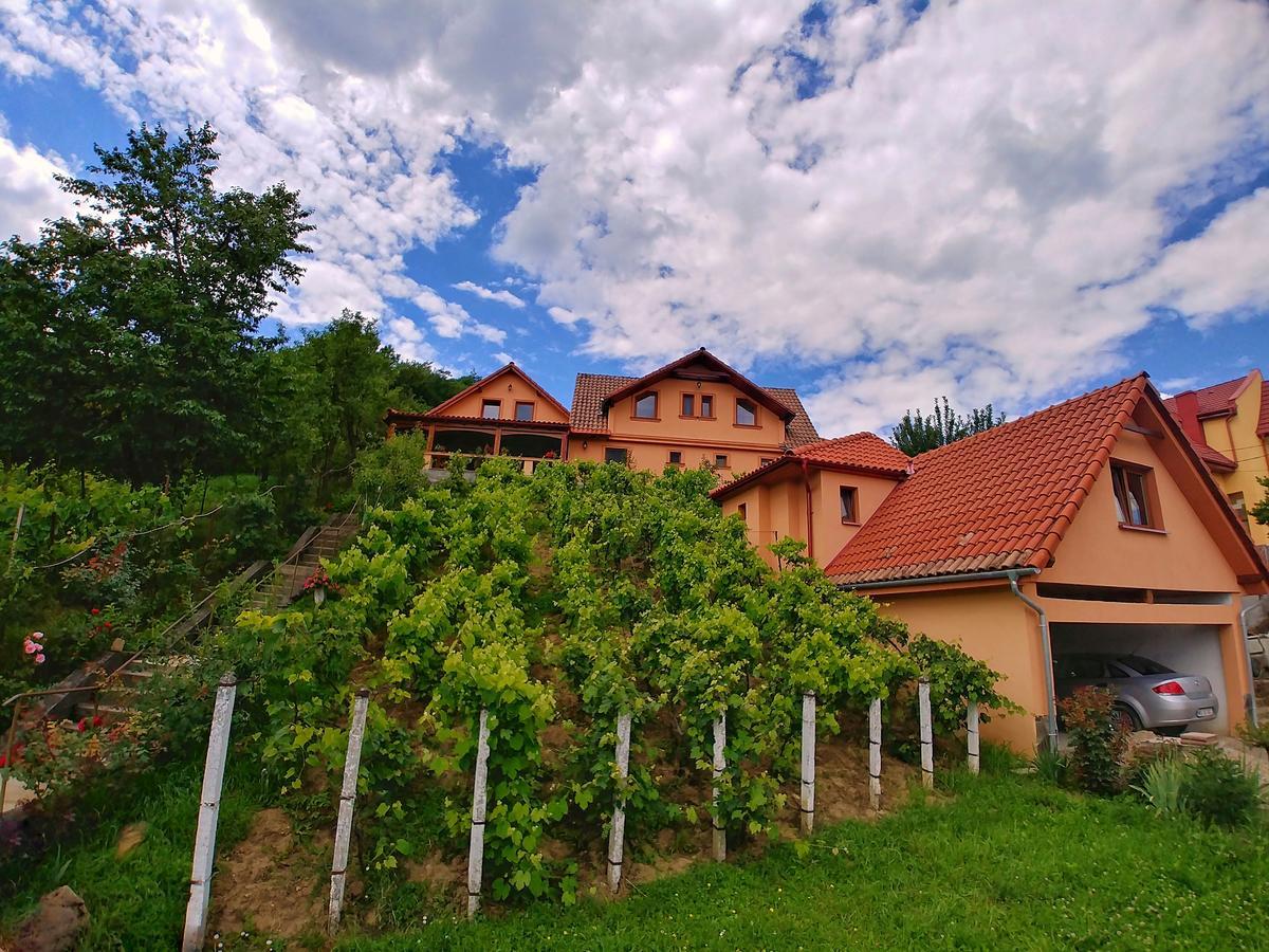 Готель Casa Adam Сігішоара Екстер'єр фото